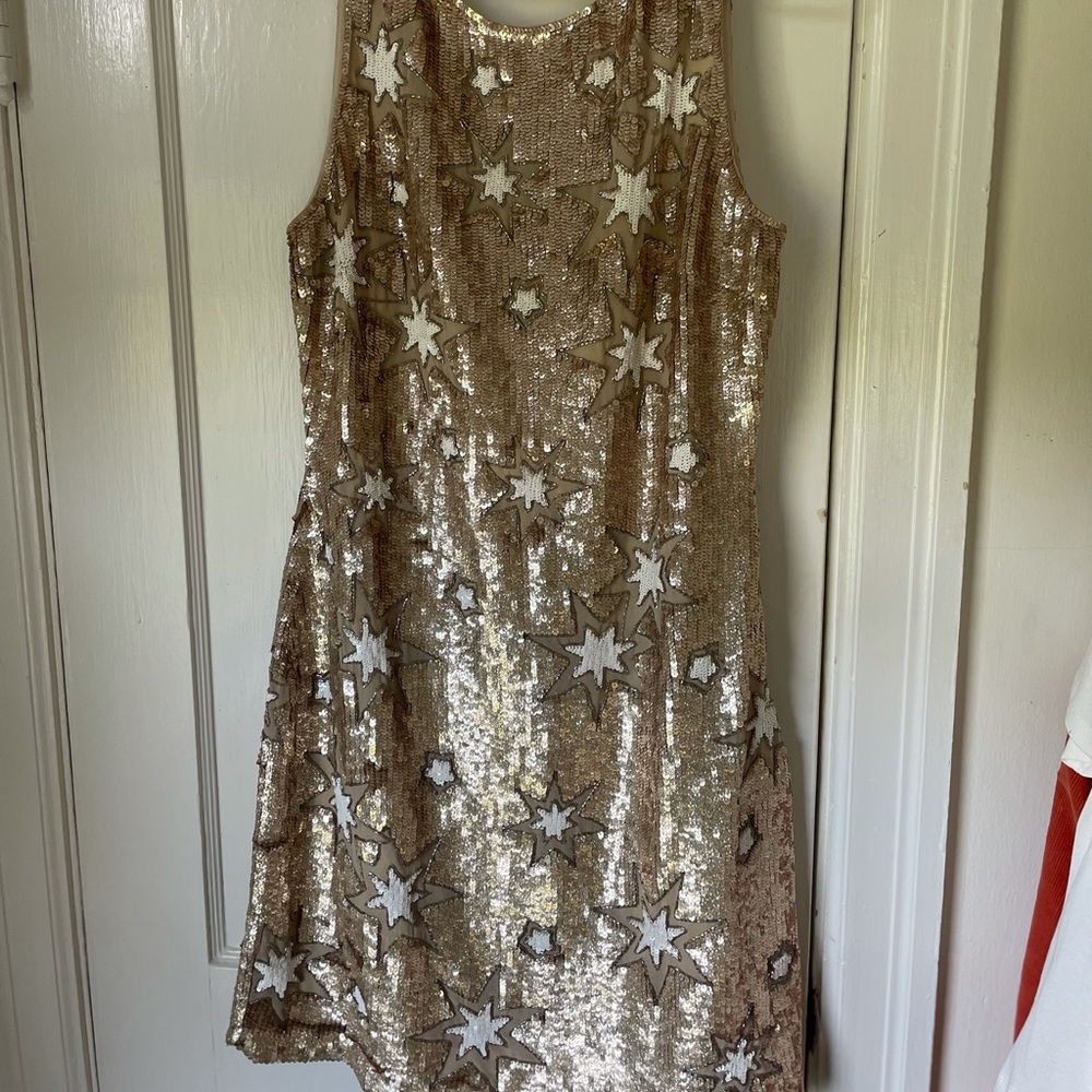 Star sequin BHLDN dress